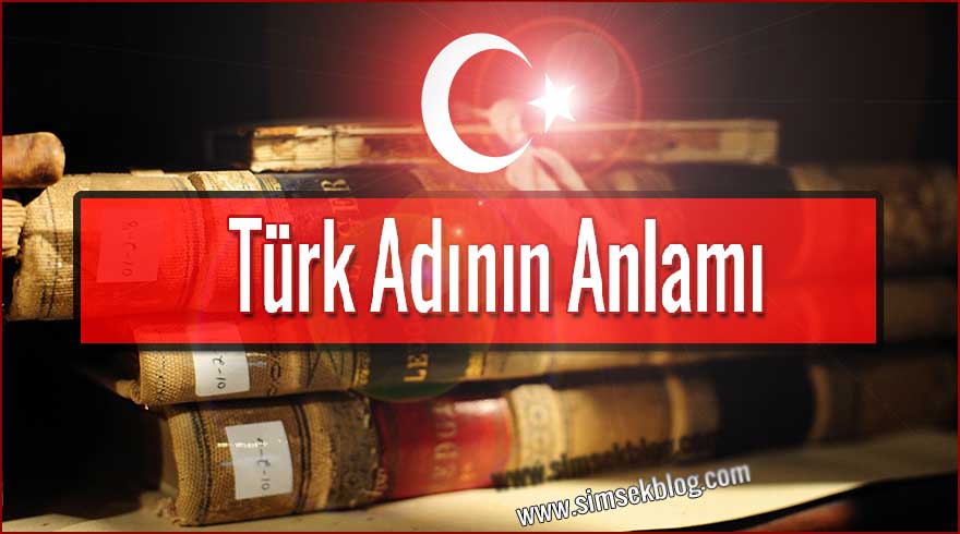 Türk Adının Anlamı