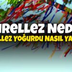 Başlıksız-1
